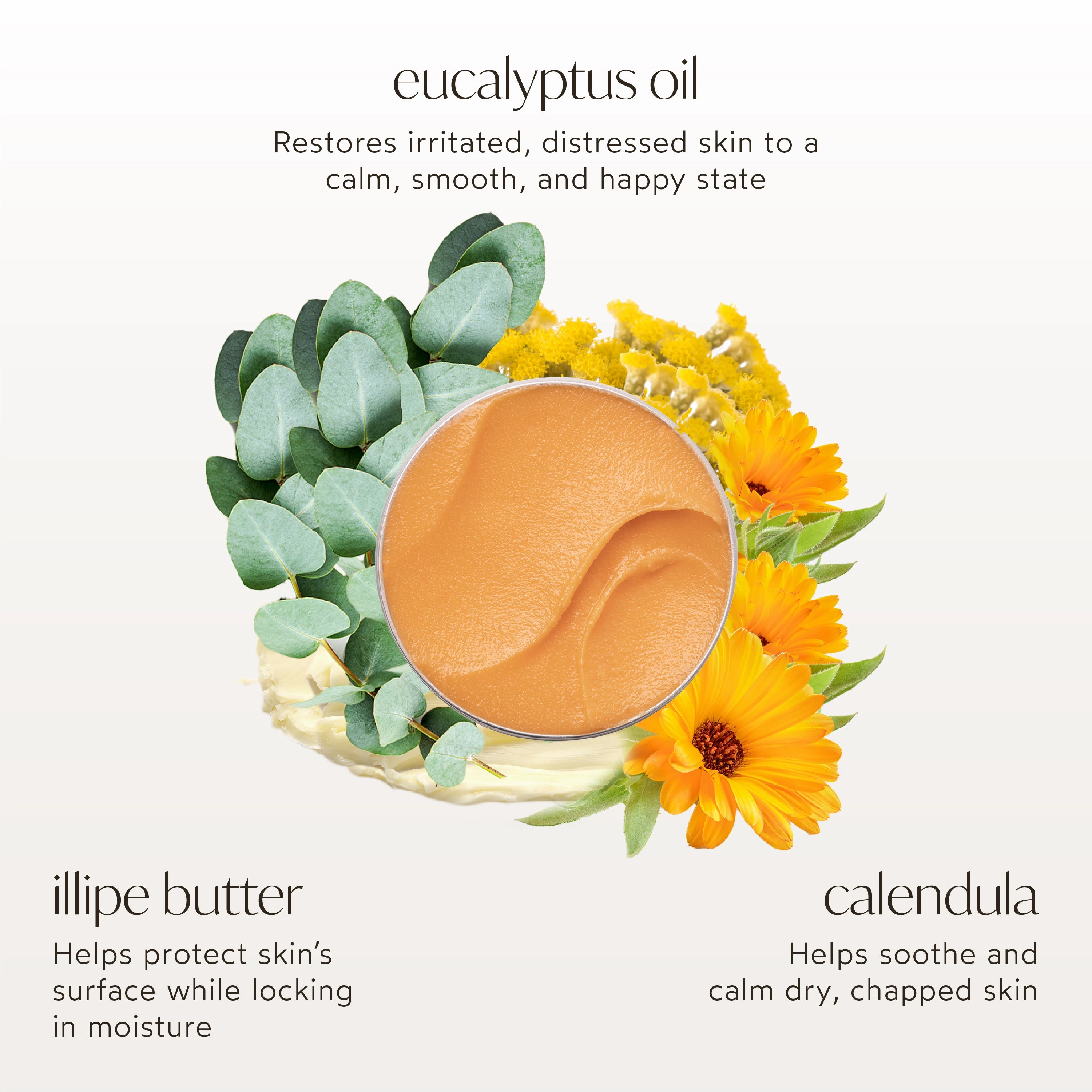 Everything Rescue Balm