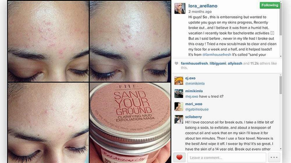 FarmHouse Fresh Sanded Ground Clarifying Mud Exfoliation Mask