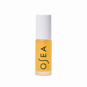 Hyaluronic Acid Lip Booster