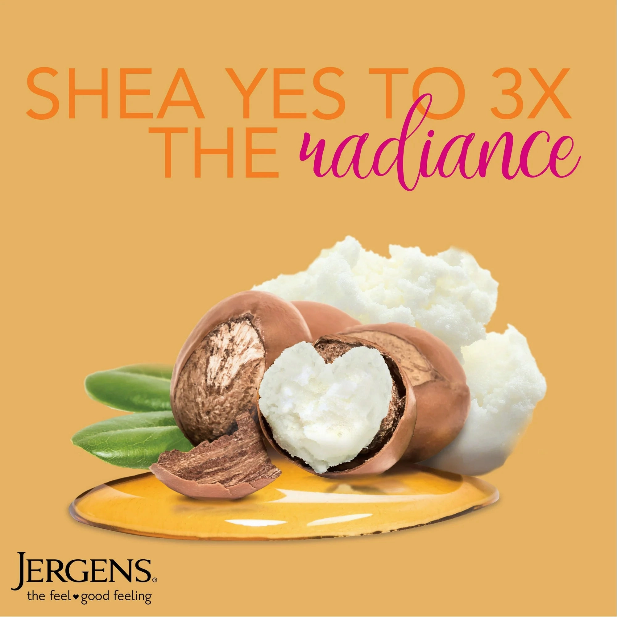Jergens Enriching Shea Butter Moisturizer - 8 oz