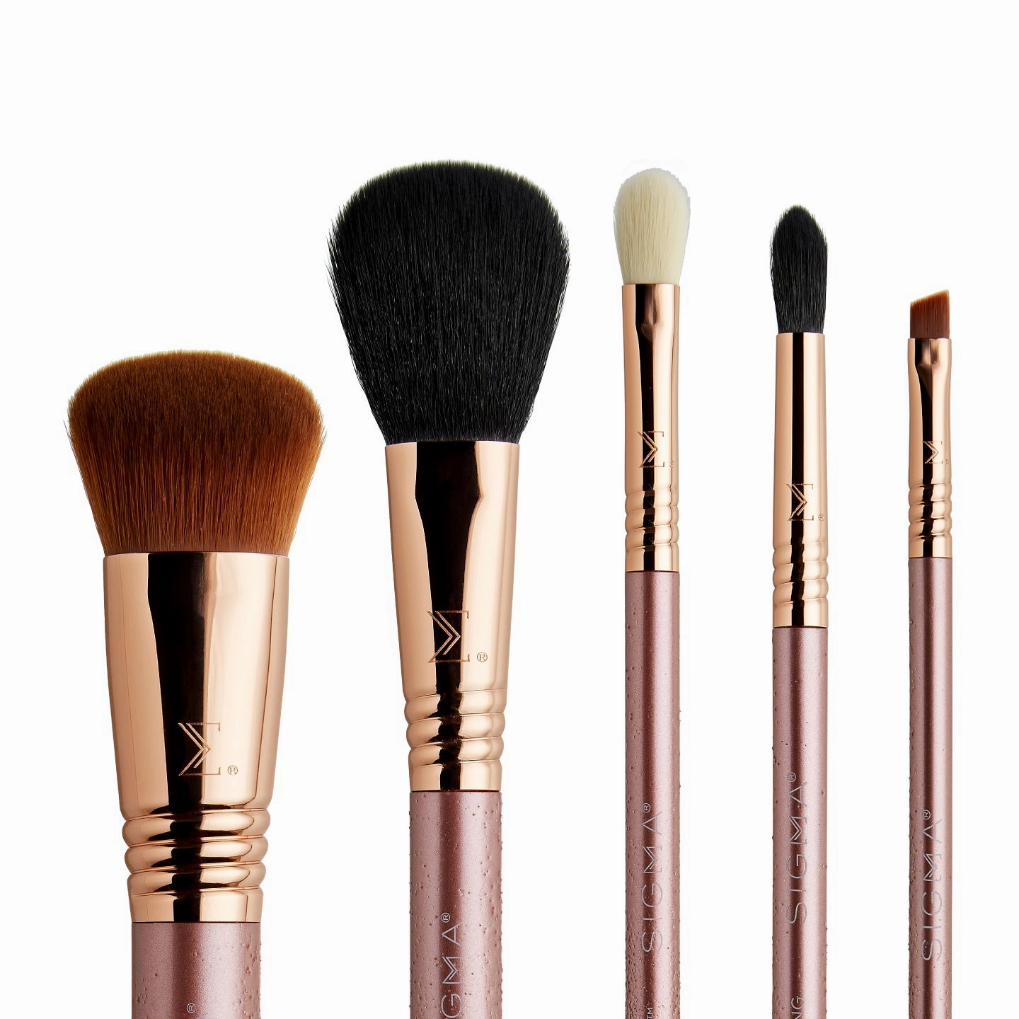 Modern Glam Brush Set