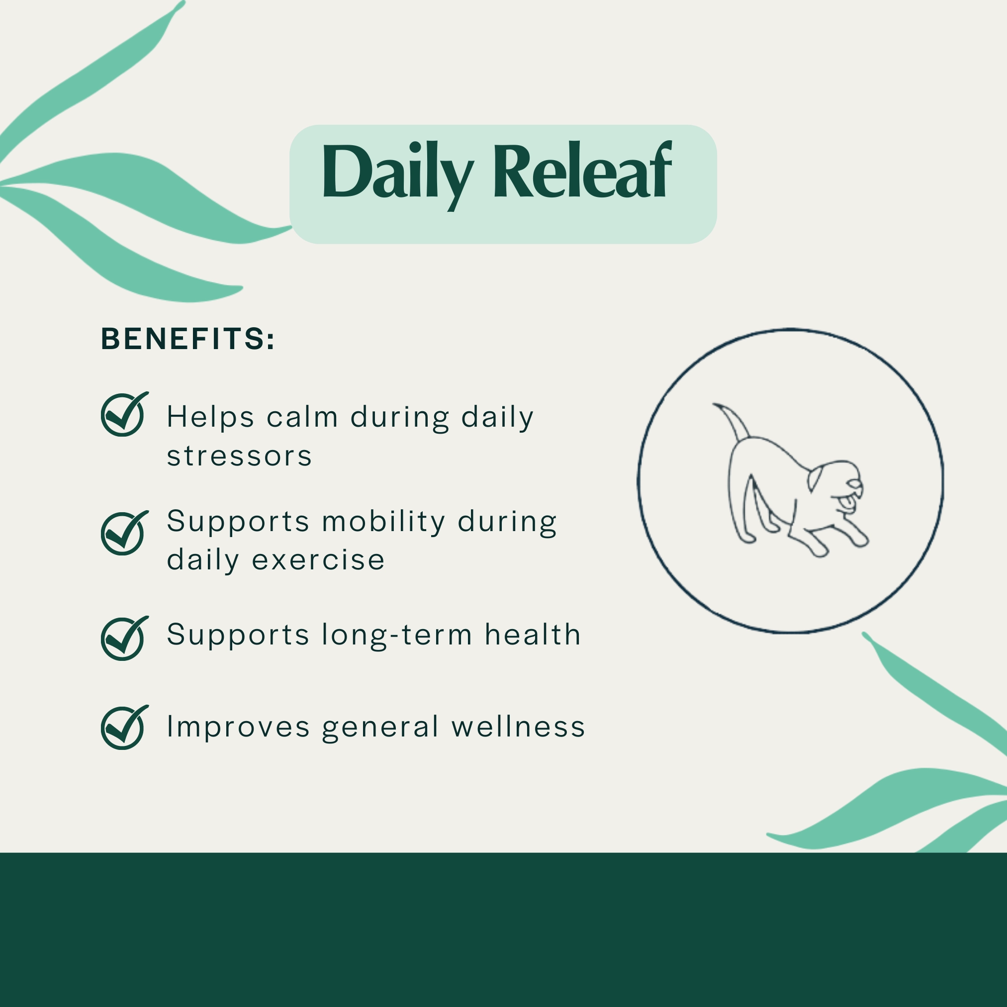 Pet Releaf Daily Releaf 200mg Hemp Oil for Medium Dogs