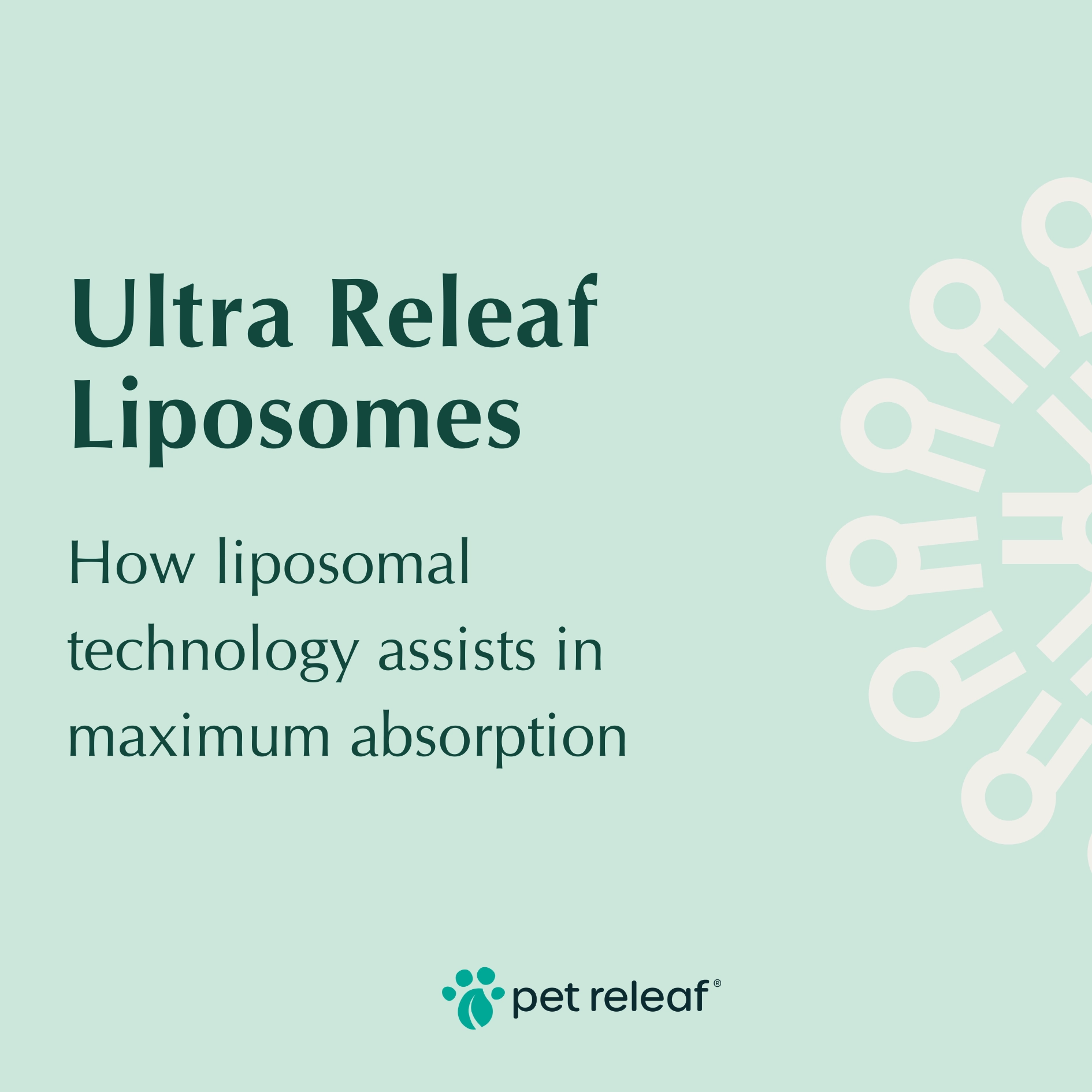 Pet Releaf Ultra Releaf Hemp Oil 300 For Medium & Large Dogs