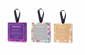 Spongelle Exfoliating Sponge Box
